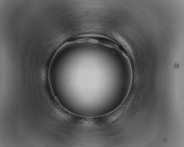 X0000096170113200801181259