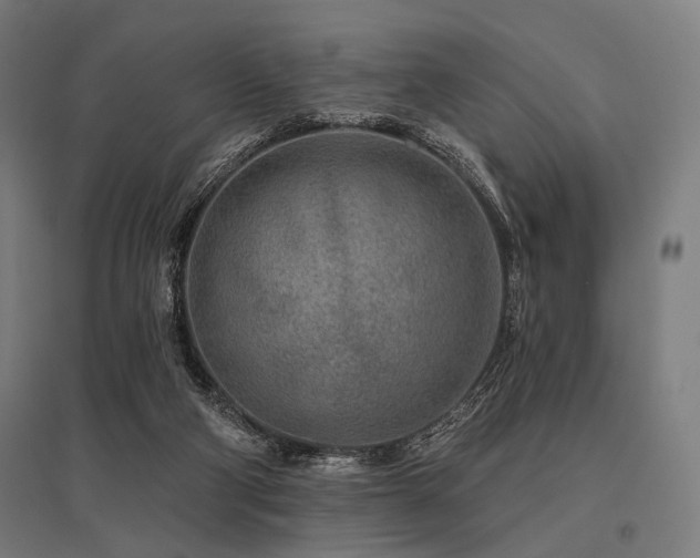 X0000096170114200801181259
