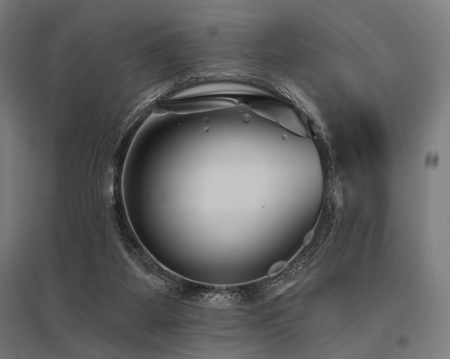 X0000096170115200801181259