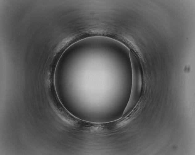 X0000096170116200801181259