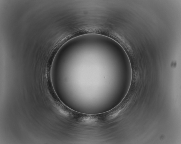 X0000096170117200801181259