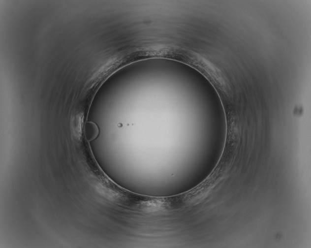 X0000096170118200801181259