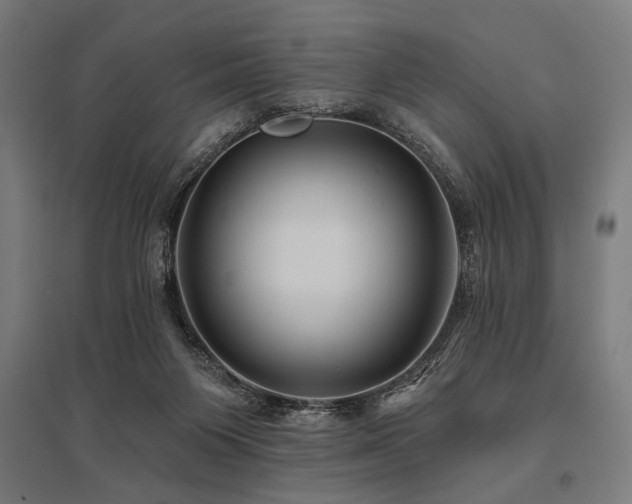 X0000096170119200801181259