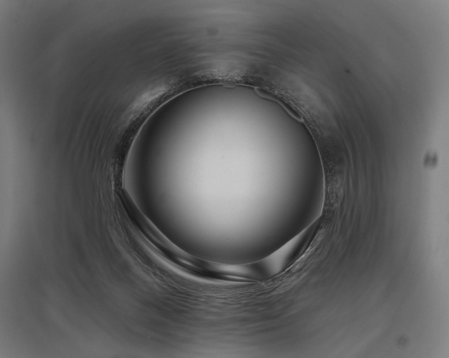 X0000096170120200801181259