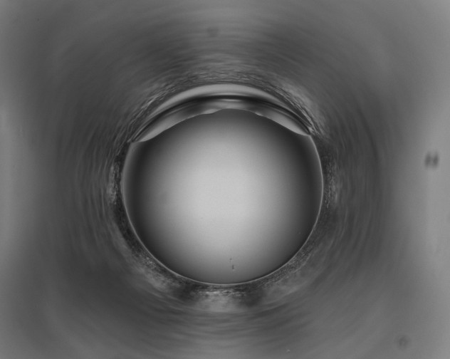 X0000096170121200801181258