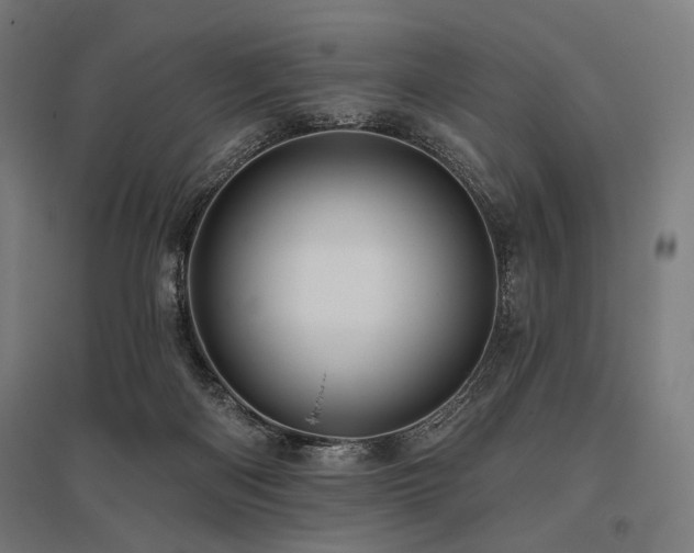 X0000096170122200801181258