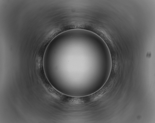 X0000096170123200801181258