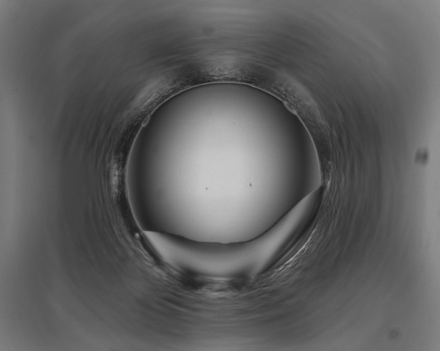 X0000096170124200801181258
