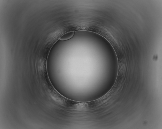 X0000096170126200801181258