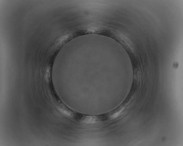 X0000096170127200801181258