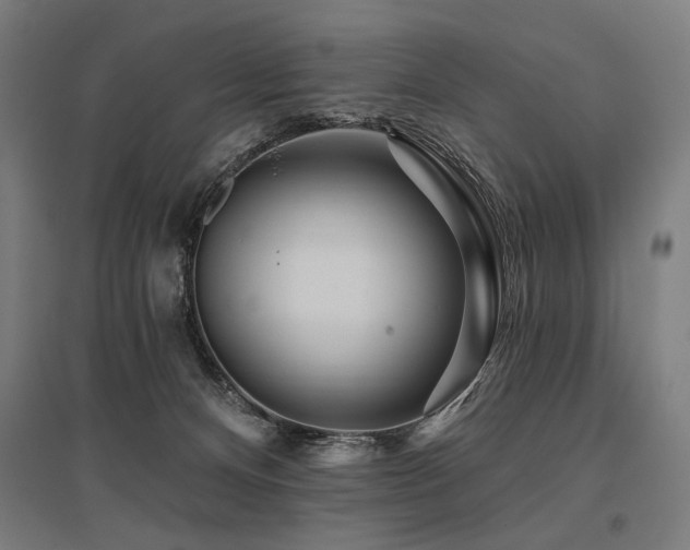 X0000096170128200801181258