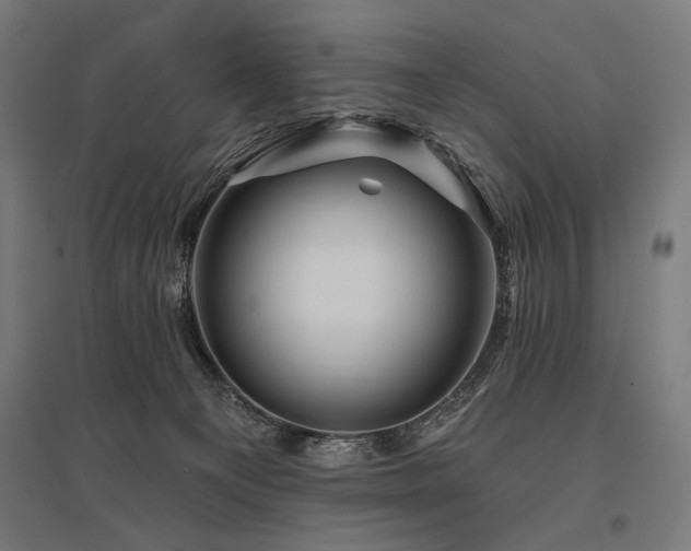 X0000096170129200801181258