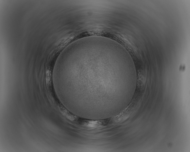 X0000096170130200801181258