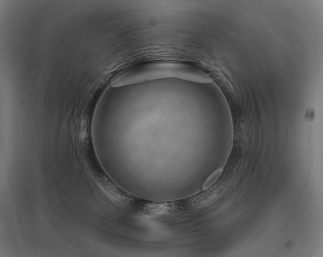 X0000096170131200801181258