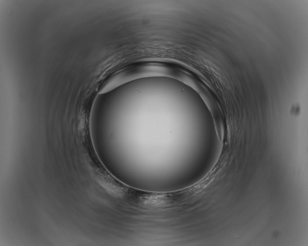 X0000096170132200801181258