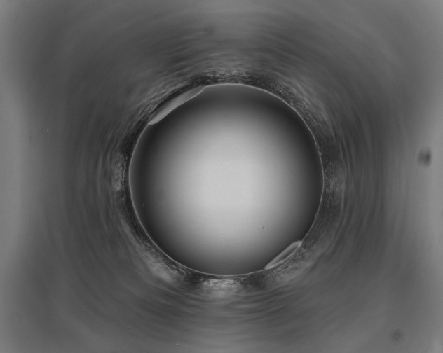 X0000096170133200801181258