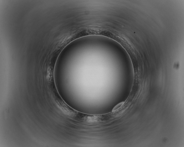 X0000096170134200801181258