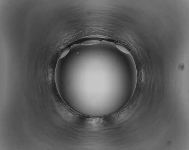 X0000096170135200801181258