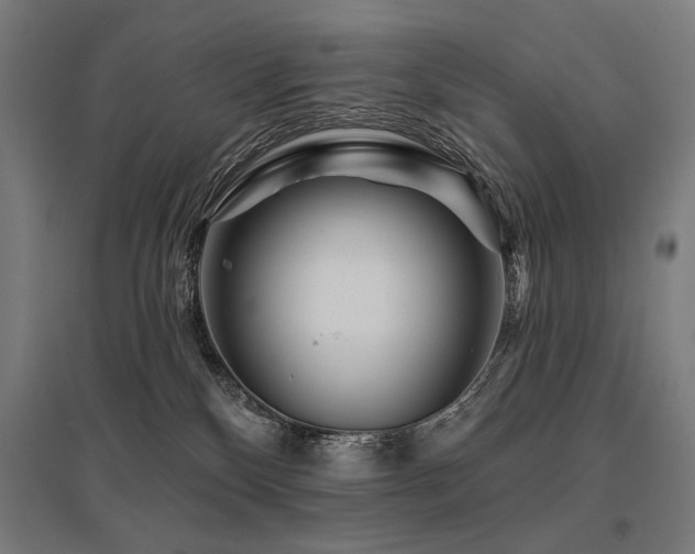 X0000096170136200801181258