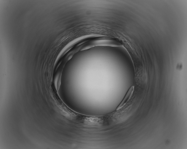 X0000096170137200801181258