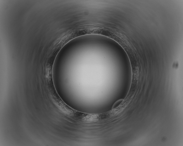 X0000096170138200801181258
