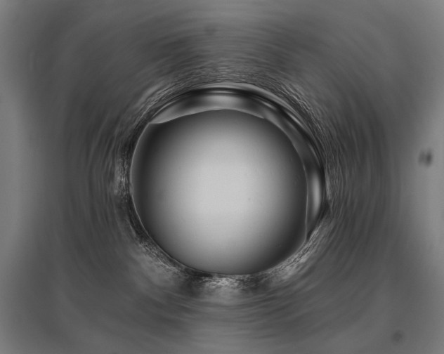 X0000096170140200801181258