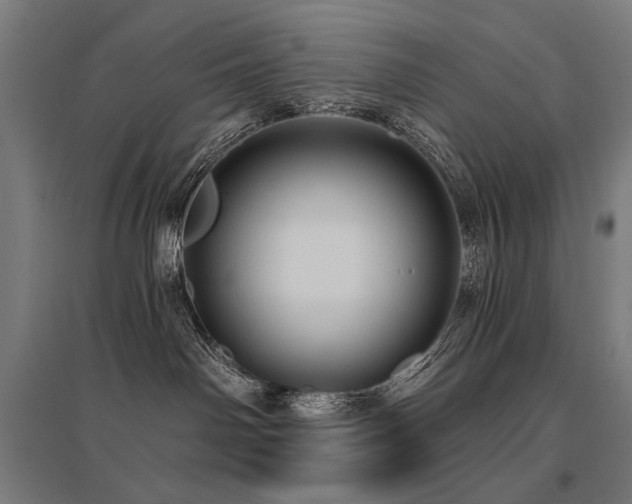 X0000096170142200801181258