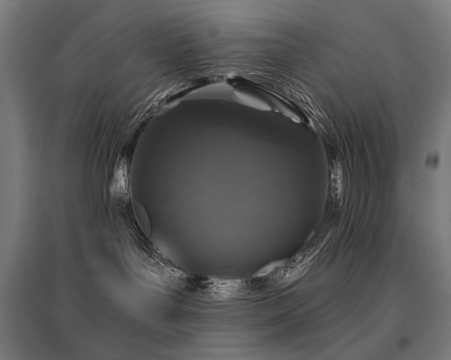 X0000096170143200801181258