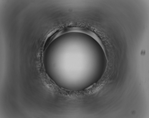X0000096170144200801181258