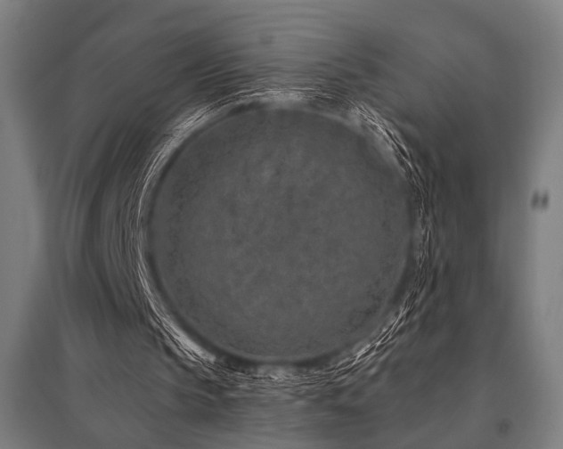 X0000096170145200801181258
