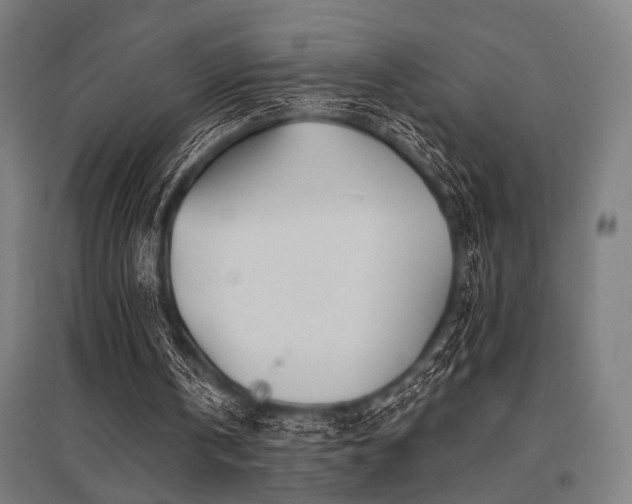 X0000096170146200801181258