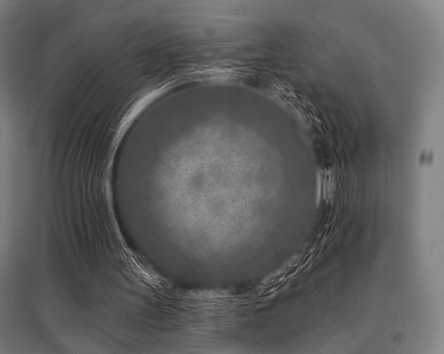 X0000096170147200801181258