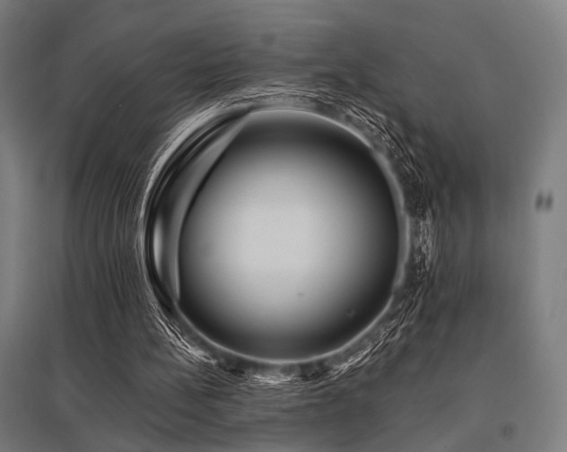 X0000096170148200801181258