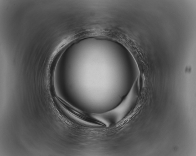 X0000096170150200801181258