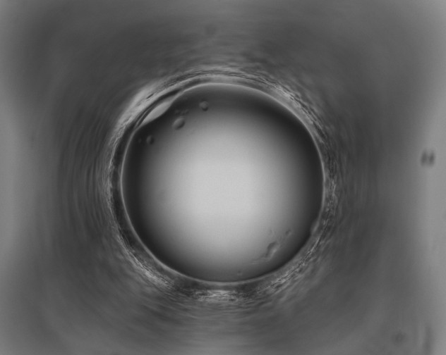 X0000096170151200801181258