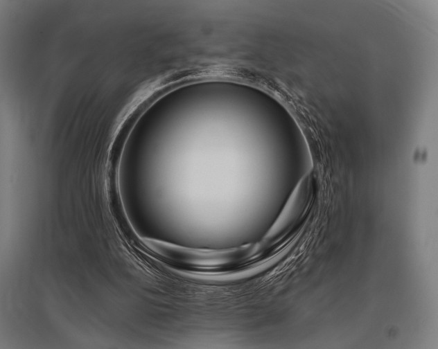 X0000096170152200801181258