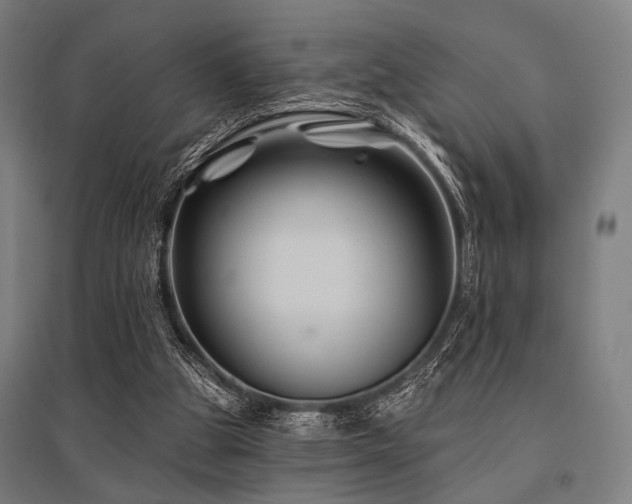 X0000096170153200801181258
