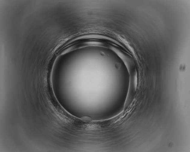 X0000096170154200801181258