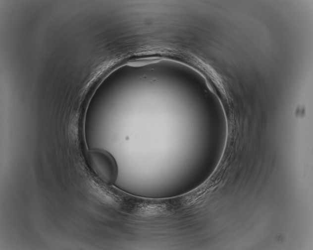 X0000096170155200801181258