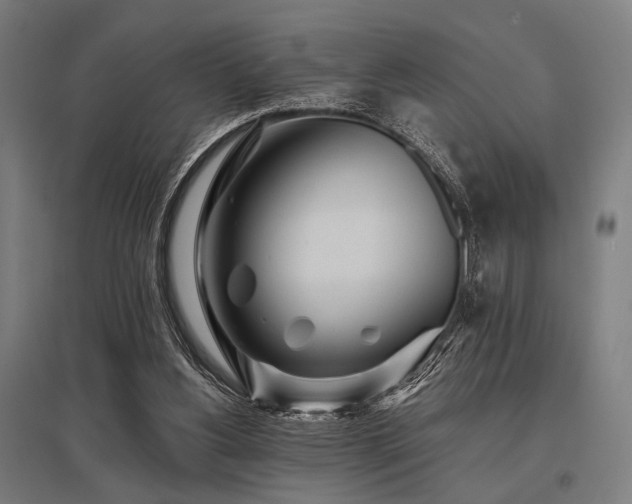 X0000096170156200801181258