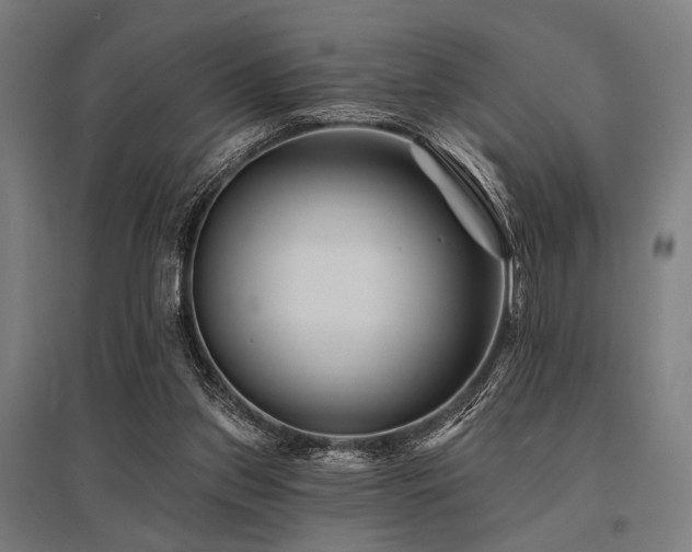 X0000096170157200801181258