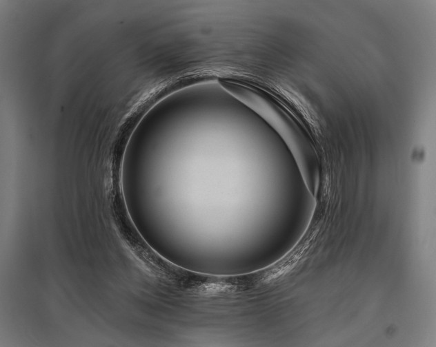 X0000096170158200801181258
