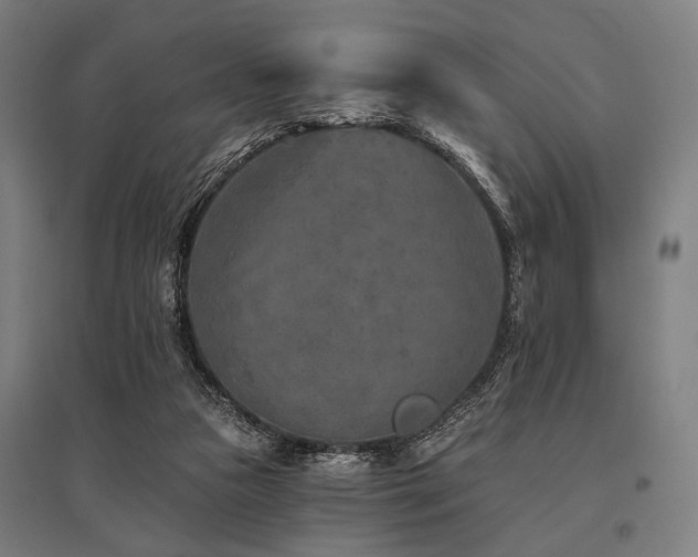 X0000096170161200801181258