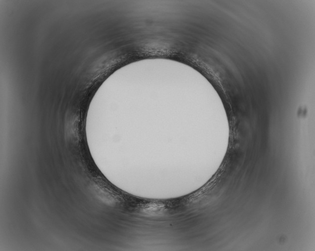 X0000096170162200801181258