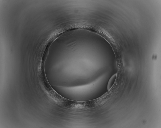 X0000096170163200801181258