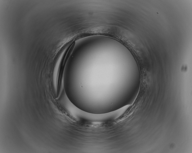 X0000096170164200801181258