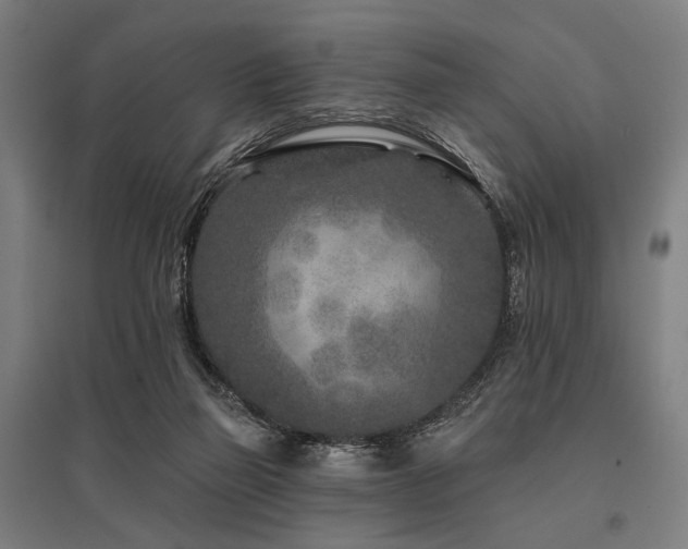 X0000096170165200801181258