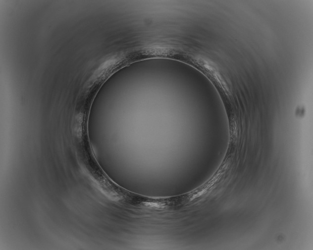 X0000096170167200801181258