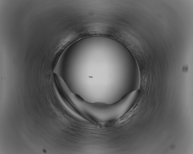 X0000096170168200801181258
