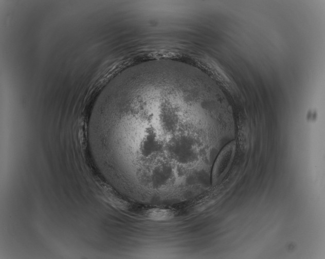 X0000096170169200801181258